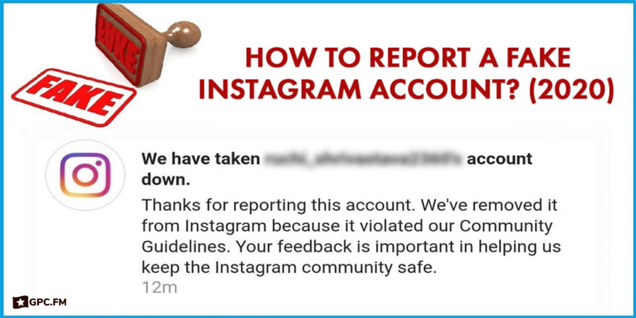 How to Report a Fake Instagram Account?