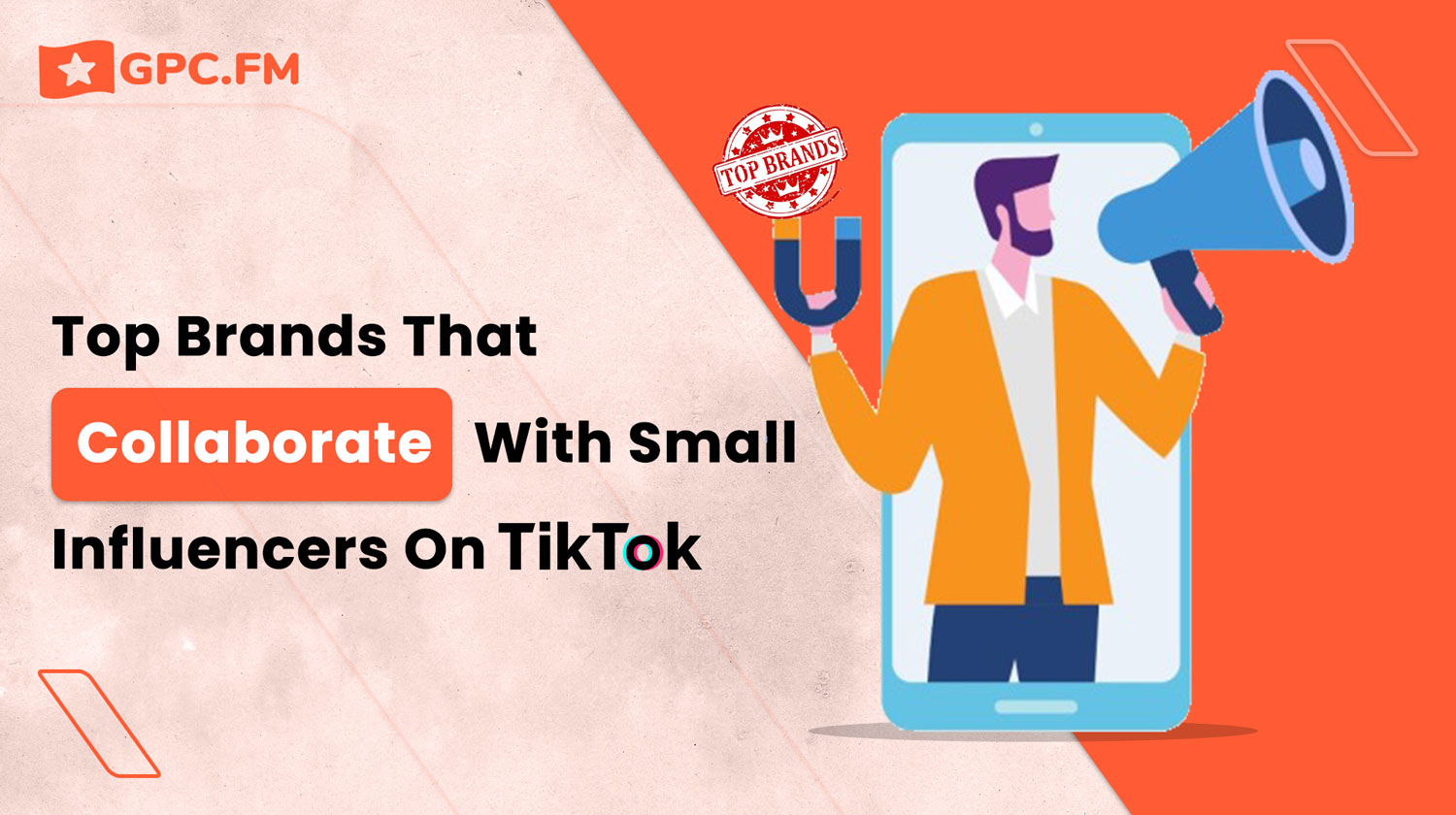 Top Brands That Collaborate With Small Influencers on TikTok